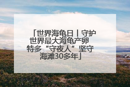 世界海龟日丨守护世界最大海龟产卵 特多“守夜人”坚守海滩30多年