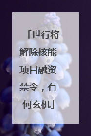世行将解除核能项目融资禁令，有何玄机