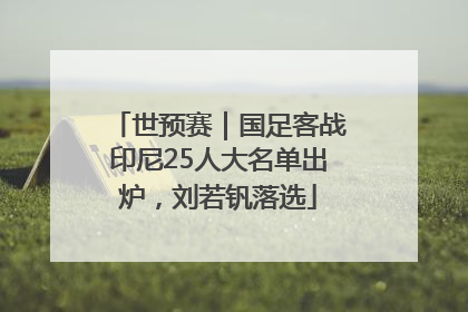 世预赛｜国足客战印尼25人大名单出炉，刘若钒落选