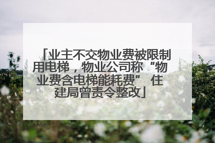 业主不交物业费被限制用电梯，物业公司称“物业费含电梯能耗费” 住建局曾责令整改