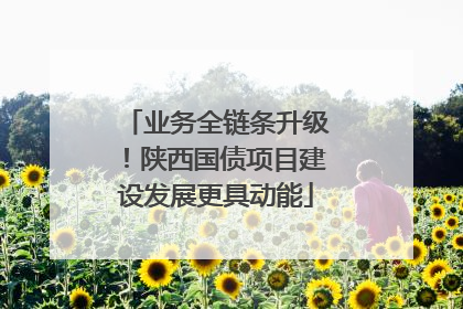 业务全链条升级！陕西国债项目建设发展更具动能
