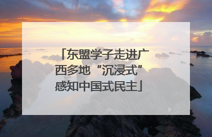 东盟学子走进广西多地“沉浸式”感知中国式民主