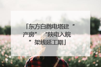 东方白鹳电塔建“产房” “陕电入皖”架线延工期