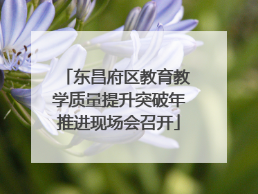 东昌府区教育教学质量提升突破年推进现场会召开