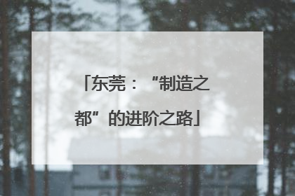东莞：“制造之都”的进阶之路