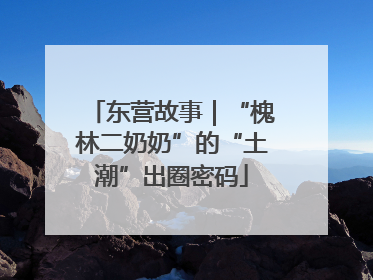 东营故事｜“槐林二奶奶”的“土潮”出圈密码
