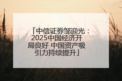 中信证券邹迎光：2025中国经济开局良好 中国资产吸引力持续提升
