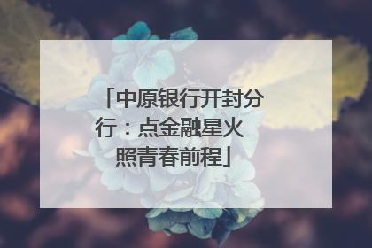 中原银行开封分行：点金融星火 照青春前程