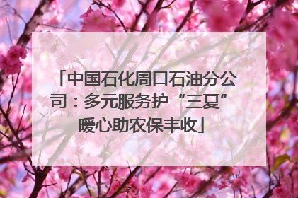中国石化周口石油分公司：多元服务护“三夏” 暖心助农保丰收
