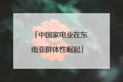 中国家电业在东南亚群体性崛起