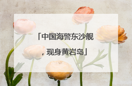 中国海警东沙舰，现身黄岩岛