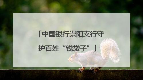 中国银行崇阳支行守护百姓“钱袋子”