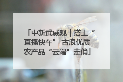 中新武威观｜搭上“直播快车” 古浪优质农产品“云端”走俏