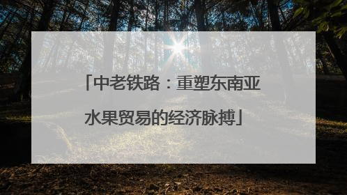 中老铁路：重塑东南亚水果贸易的经济脉搏