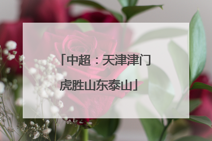 中超：天津津门虎胜山东泰山