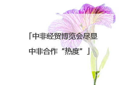 中非经贸博览会尽显中非合作“热度”