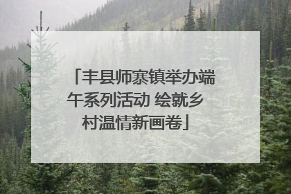 丰县师寨镇举办端午系列活动 绘就乡村温情新画卷