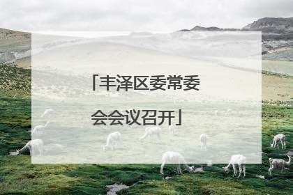 丰泽区委常委会会议召开