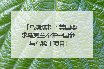 乌媒爆料：美国要求乌克兰不许中国参与乌稀土项目