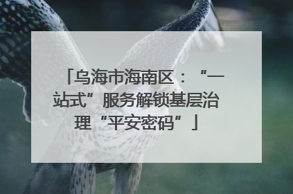 乌海市海南区：“一站式”服务解锁基层治理“平安密码”
