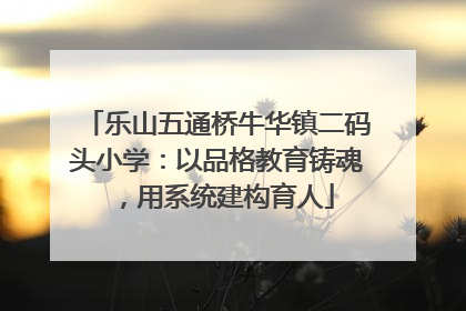 乐山五通桥牛华镇二码头小学：以品格教育铸魂，用系统建构育人