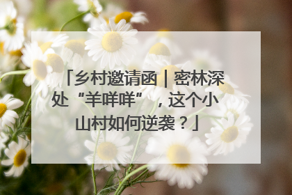 乡村邀请函｜密林深处“羊咩咩”，这个小山村如何逆袭？