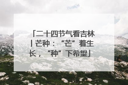 二十四节气看吉林丨芒种：“芒”着生长，“种”下希望
