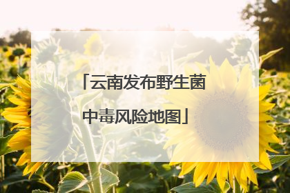 云南发布野生菌中毒风险地图