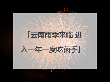 云南雨季来临 进入一年一度吃菌季