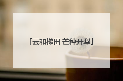 云和梯田 芒种开犁