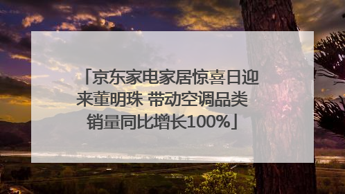 京东家电家居惊喜日迎来董明珠 带动空调品类销量同比增长100%