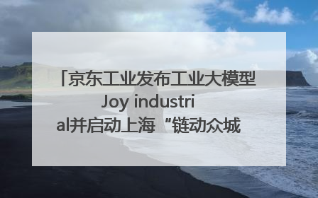京东工业发布工业大模型Joy industrial并启动上海“链动众城 万亿降本”计划