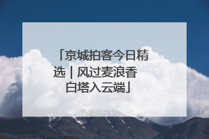 京城拍客今日精选｜风过麦浪香 白塔入云端