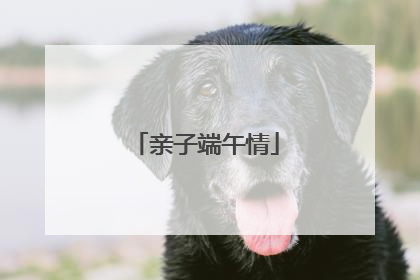 亲子端午情