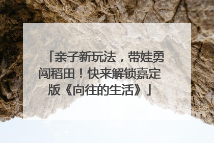 亲子新玩法，带娃勇闯稻田！快来解锁嘉定版《向往的生活》