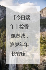 今日端午丨粽香飘春城，岁岁年年长安康