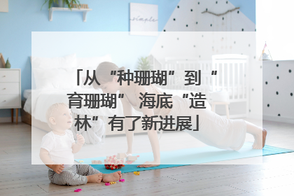 从“种珊瑚”到“育珊瑚” 海底“造林”有了新进展