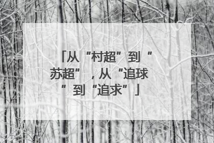 从“村超”到“苏超”，从“追球”到“追求”