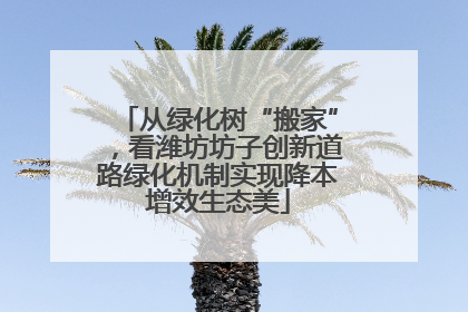 从绿化树“搬家”，看潍坊坊子创新道路绿化机制实现降本增效生态美
