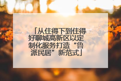 从住得下到住得好聊城高新区以定制化服务打造“鲁派民居”新范式