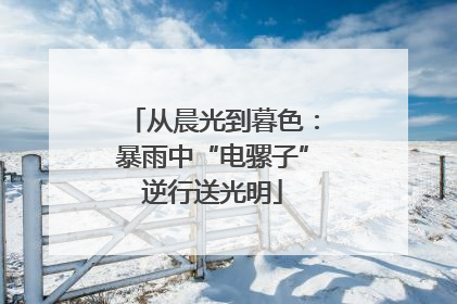 从晨光到暮色：暴雨中“电骡子”逆行送光明