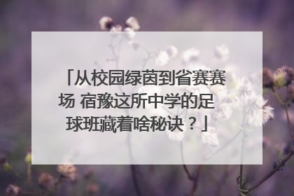 从校园绿茵到省赛赛场 宿豫这所中学的足球班藏着啥秘诀？