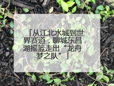 从江北水城到世界赛道，聊城东昌湖摇篮走出“龙舟梦之队”