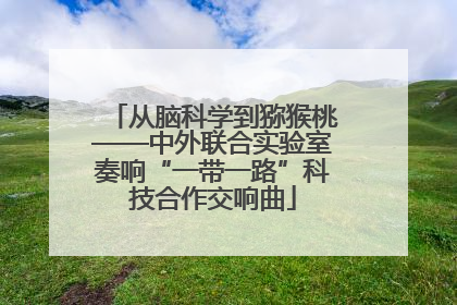 从脑科学到猕猴桃——中外联合实验室奏响“一带一路”科技合作交响曲