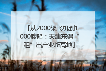 从2000架飞机到1000艘船：天津东疆“租”出产业新高地