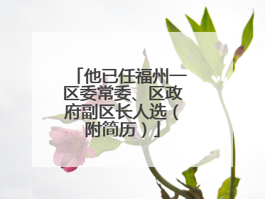 他已任福州一区委常委、区政府副区长人选（附简历）