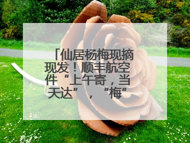仙居杨梅现摘现发！顺丰航空件“上午寄，当天达”，“梅”好送到家！