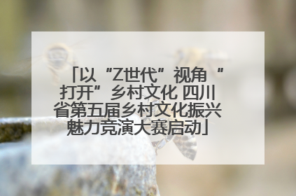 以“Z世代”视角“打开”乡村文化 四川省第五届乡村文化振兴魅力竞演大赛启动