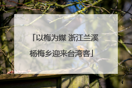 以梅为媒 浙江兰溪杨梅乡迎来台湾客