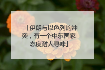 伊朗与以色列的冲突，有一个中东国家态度耐人寻味